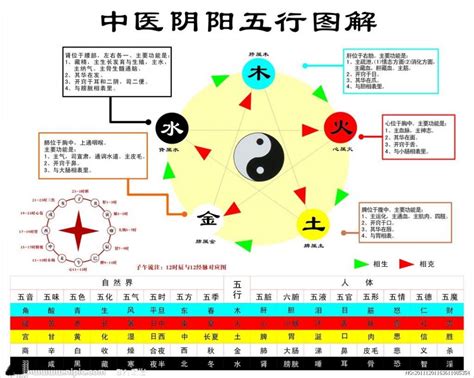 真 五行|真的解释